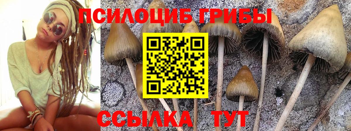 Псилоцибиновые грибы Magic Shrooms Котлас