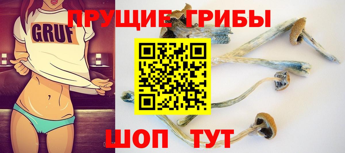 что такое   Псилоцибиновые грибы GOLDEN TEACHER  Вход с VPN  Котлас 
